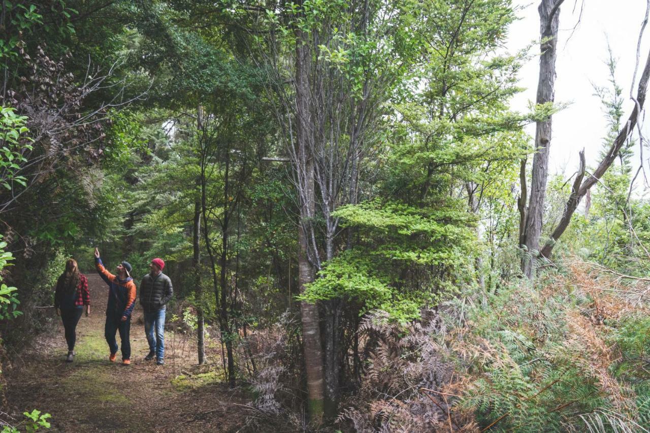 Lone Moose Backpackers Albergue Te Anau Exterior foto