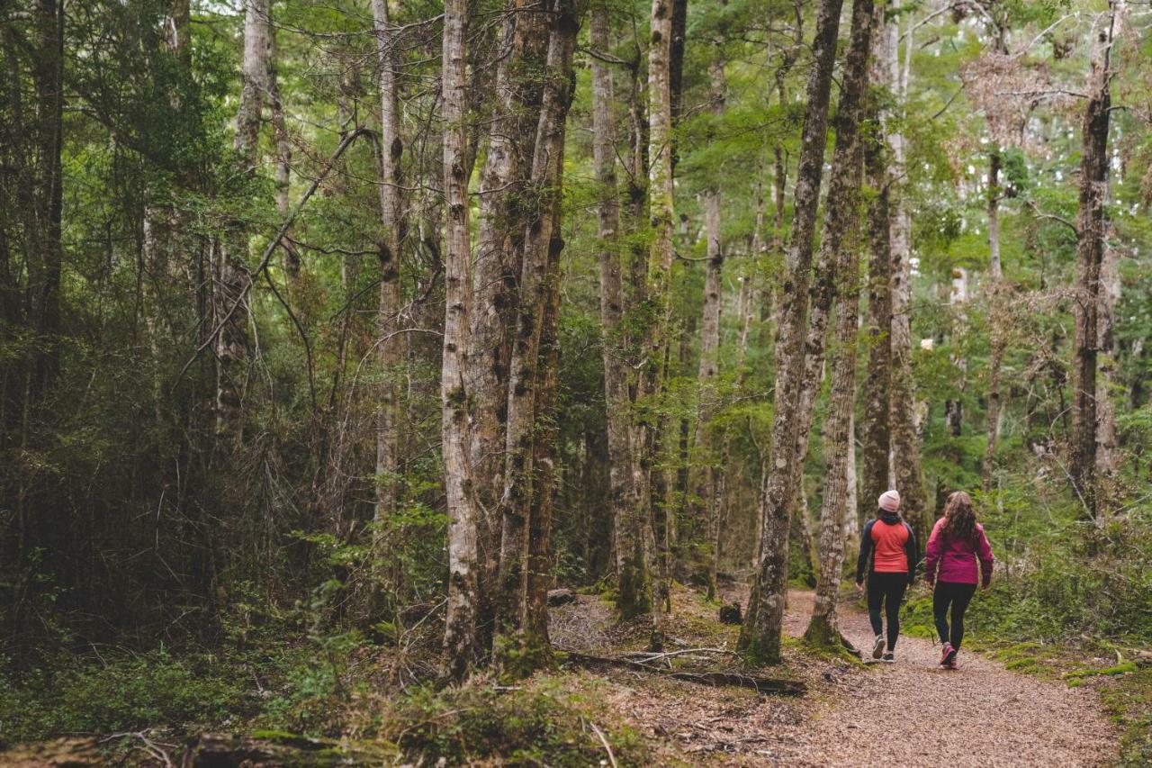 Lone Moose Backpackers Albergue Te Anau Exterior foto
